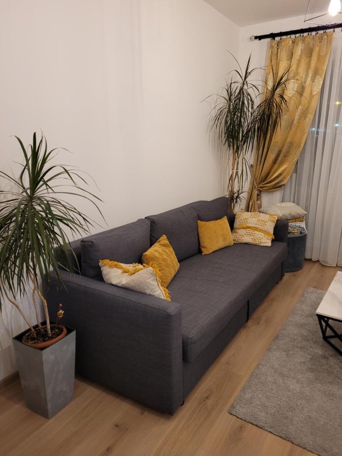 4Qualis Apartamento Braşov Exterior foto